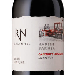 יין קברנה סוביניון הר נגב